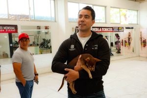 Vacunación, adopciones y microchips: la Secretaría de Bienestar Animal refuerza la protección de las mascotas en Querétaro