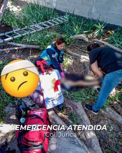Adulto mayor resulta lesionado tras caer mientras podaba un árbol en Jurica