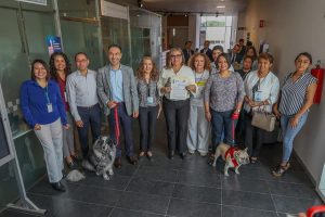 Diputados de Morena proponen Ley en Querétaro para frenar sobrepoblación de perros y gatos sin recurrir a matanzas
