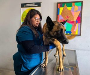 Rescate heroico: perrito es salvado antes de caer 20 metros en un barranco de El Marqués