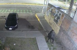 Sabotea tubería de gas en Geovillas en intento de robo
