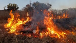 Suman 19 incendios en lo que va del año en Querétaro, antes de la temporada más intensa