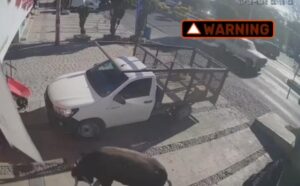 Permanece grave una de las personas lesionadas tras ataque de toro en Pedro Escobedo