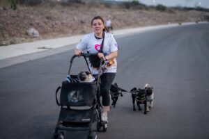 Arrancará en Zibatá la primera Vía Recreativa de El Marqués con carreras, rodadas y actividades familiares este 19 de abril