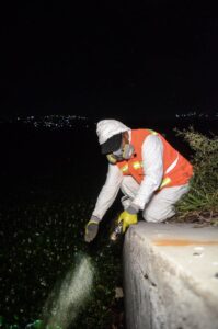 Van contra mosquitos en Querétaro 2000: activan operativo de 60 días con fumigación y limpieza